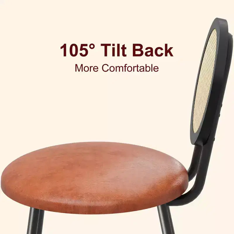 Rattan Kitchen Chairs with Metal Legs, Modern Upholstered Dining Chairs with Thick Cushions for Small Space